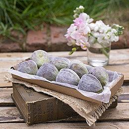 《宝可梦传说：阿尔宙斯》全新演示 狂暴的王与女王篇